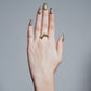 Anillo Amari