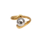 Anillo Isla