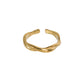 Anillo Varese