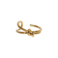 Anillo Angri