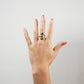 Anillo Zannia