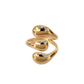 Anillo Zannia