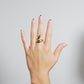 Anillo Isotta