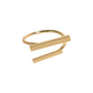 Anillo Galilea