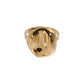 Anillo Parma