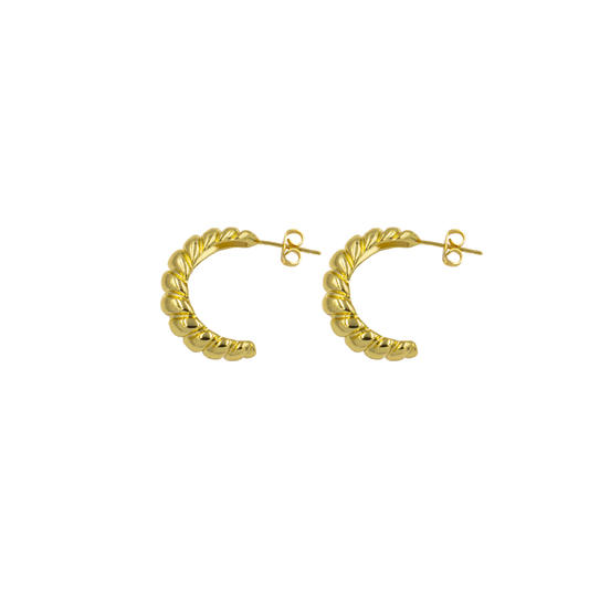 Aretes Diana