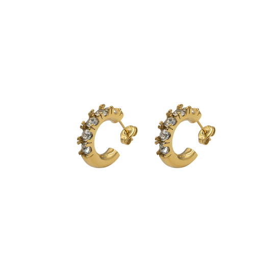 Aretes Evelia