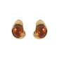 Aretes Novara