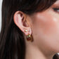 Aretes Novara