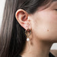 Aretes Terentina