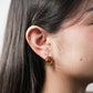 Aretes Vesta