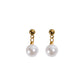 Aretes Padua