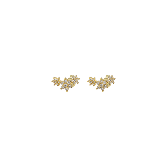 Aretes Gisela