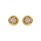 Aretes Flora