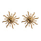 Aretes pili