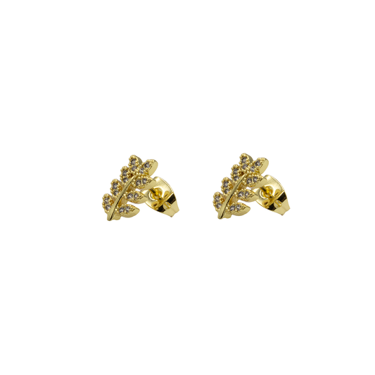 Aretes Cora