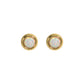 Aretes Bolonia