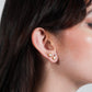 Aretes Bolonia