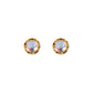 Aretes Luna