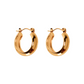 Aretes Lanthe