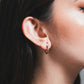 Aretes Trentino