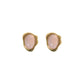 Aretes Carpi