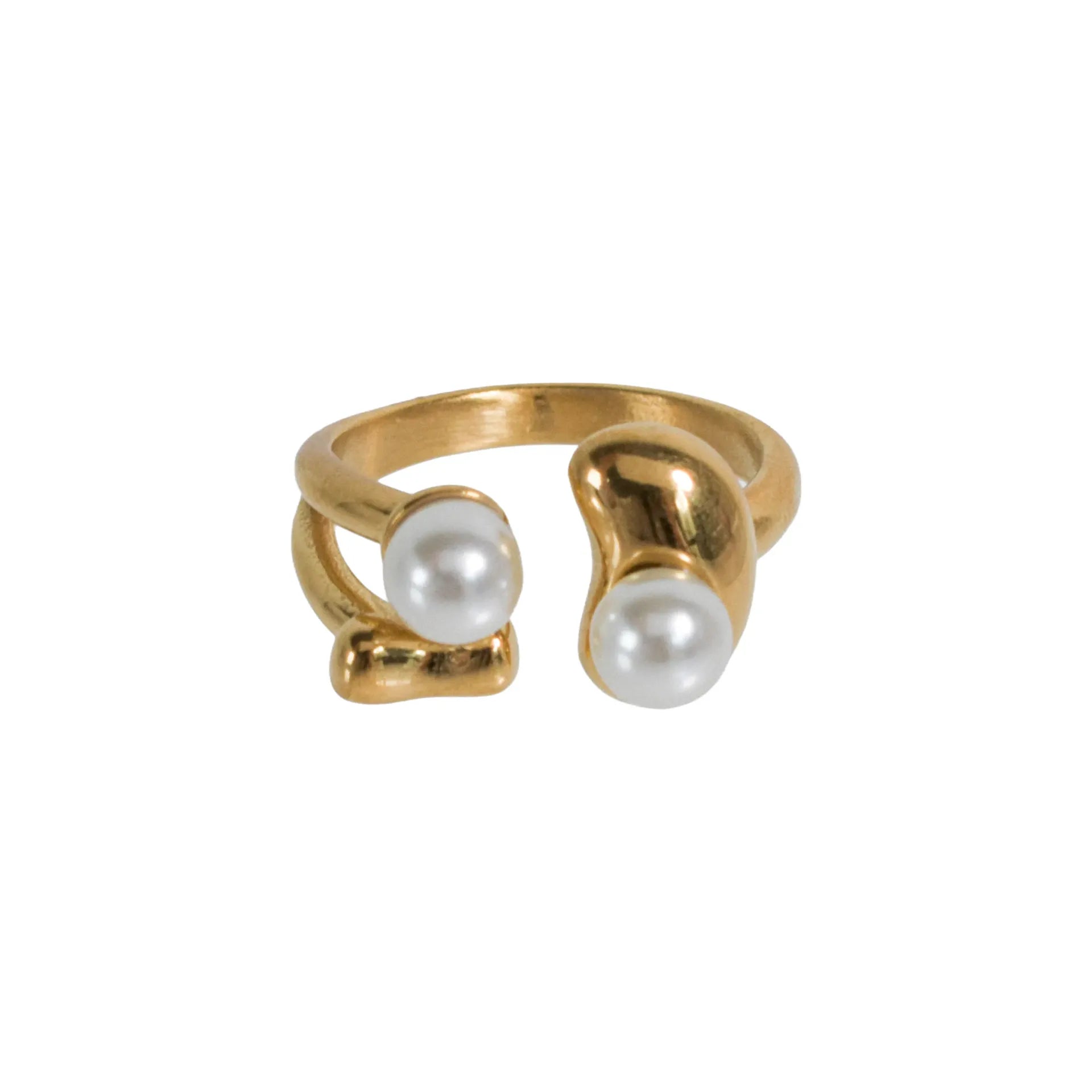 Anillo Bolonia